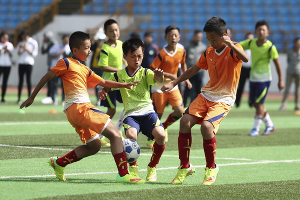 陶德称《上古卷轴6》比上古卷轴5有更多的树